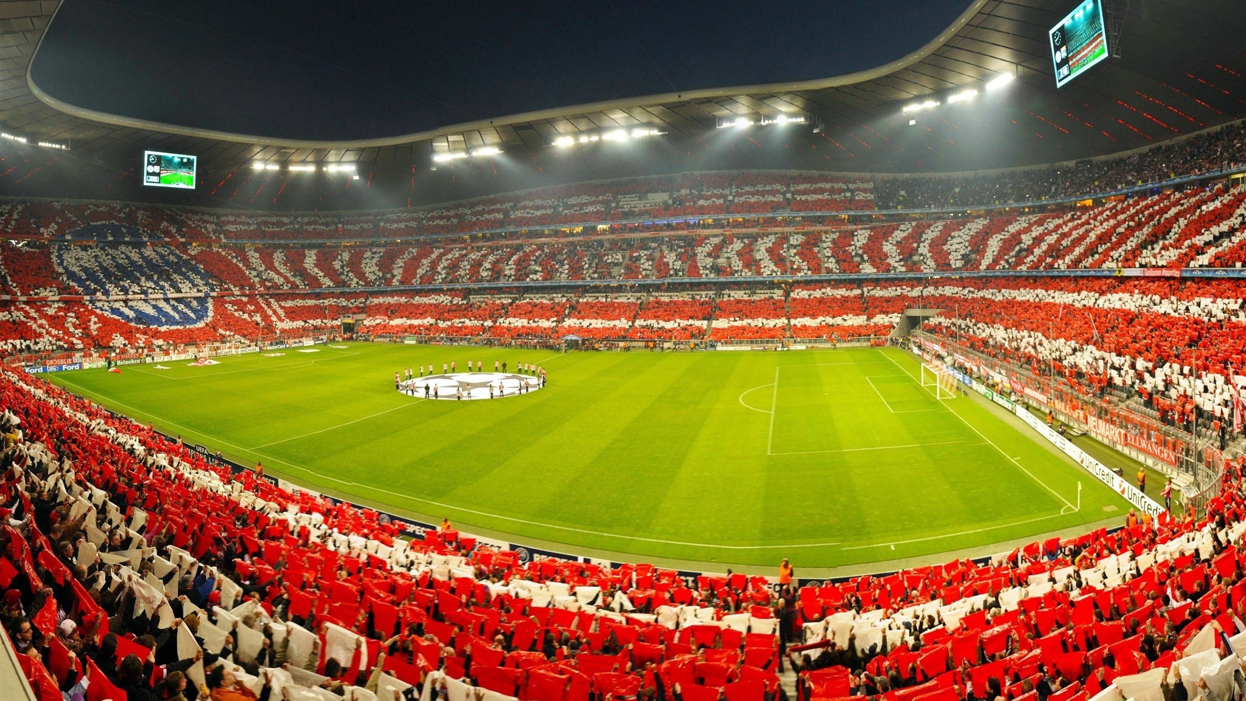 意大利选手团结一心，喜获胜利，意大利团队